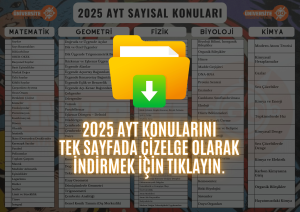 2025 AYT Konuları